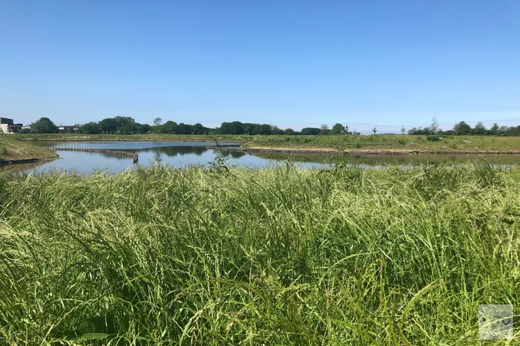 Veel belangstelling voor rondleiding op Natuurbegraafplaats Geestmerloo