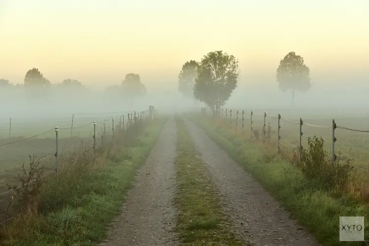 Grijze maand januari houdt voorlopig nog even aan